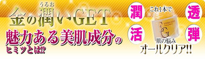 �G�{�����[�S�[���h�@�������