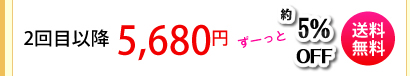 �G�{�����[�S�[���h�@�������