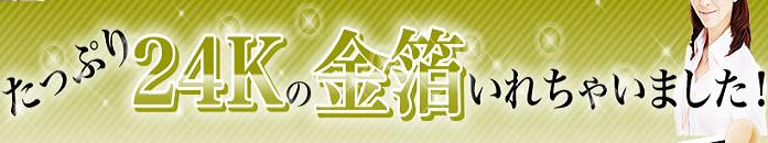 �G�{�����[�S�[���h�@�������