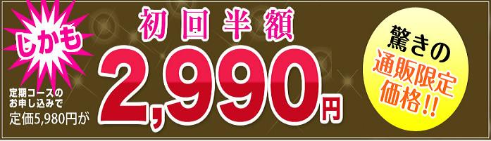 �G�{�����[�S�[���h�@�������